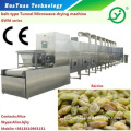 raisins dryer-microwave dryer for fruit-fruit drying equipment